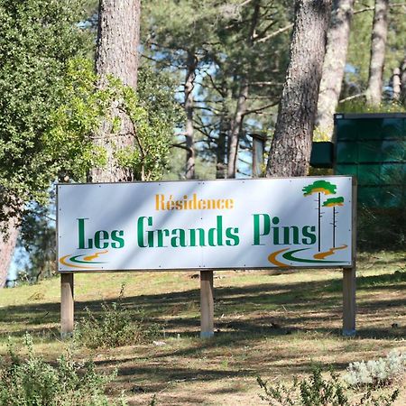 Apt Les Grands Pins, Entre Foret, Lac Et Ocean Carcans Eksteriør billede