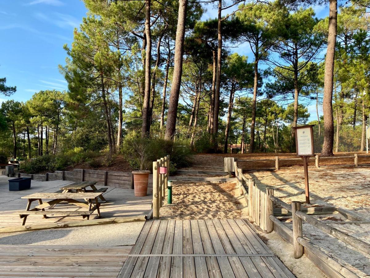 Apt Les Grands Pins, Entre Foret, Lac Et Ocean Carcans Eksteriør billede