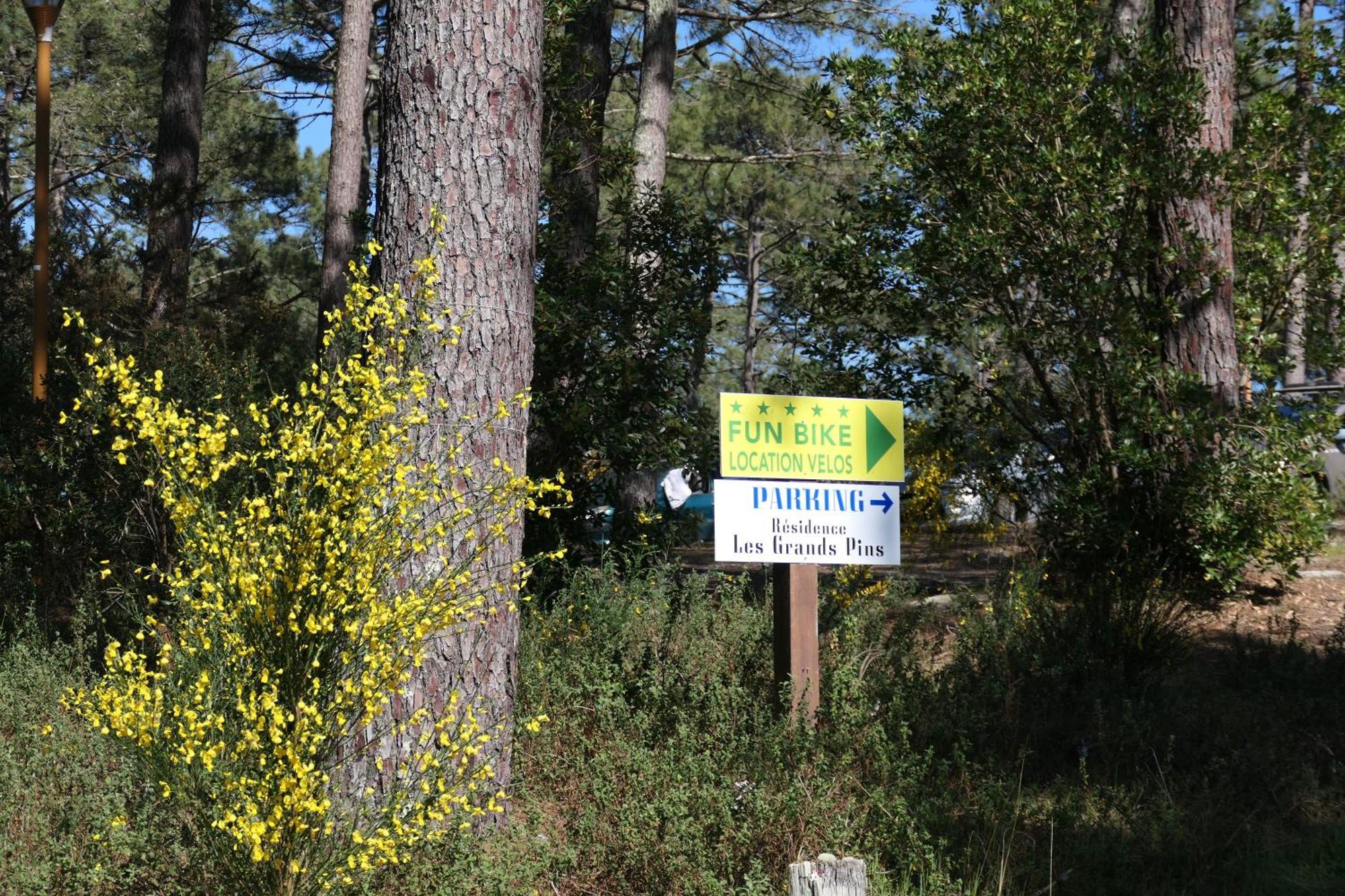 Apt Les Grands Pins, Entre Foret, Lac Et Ocean Carcans Eksteriør billede